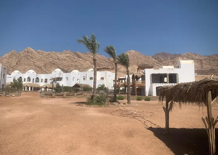 Hossam * Dahab
